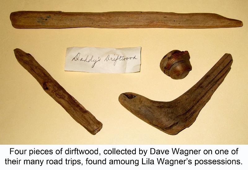 W-1980_Wagner, driftwood